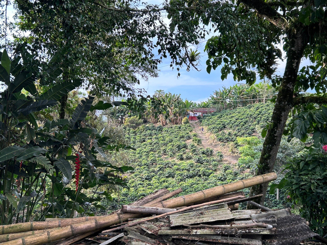 Hacienda Guayabal主图