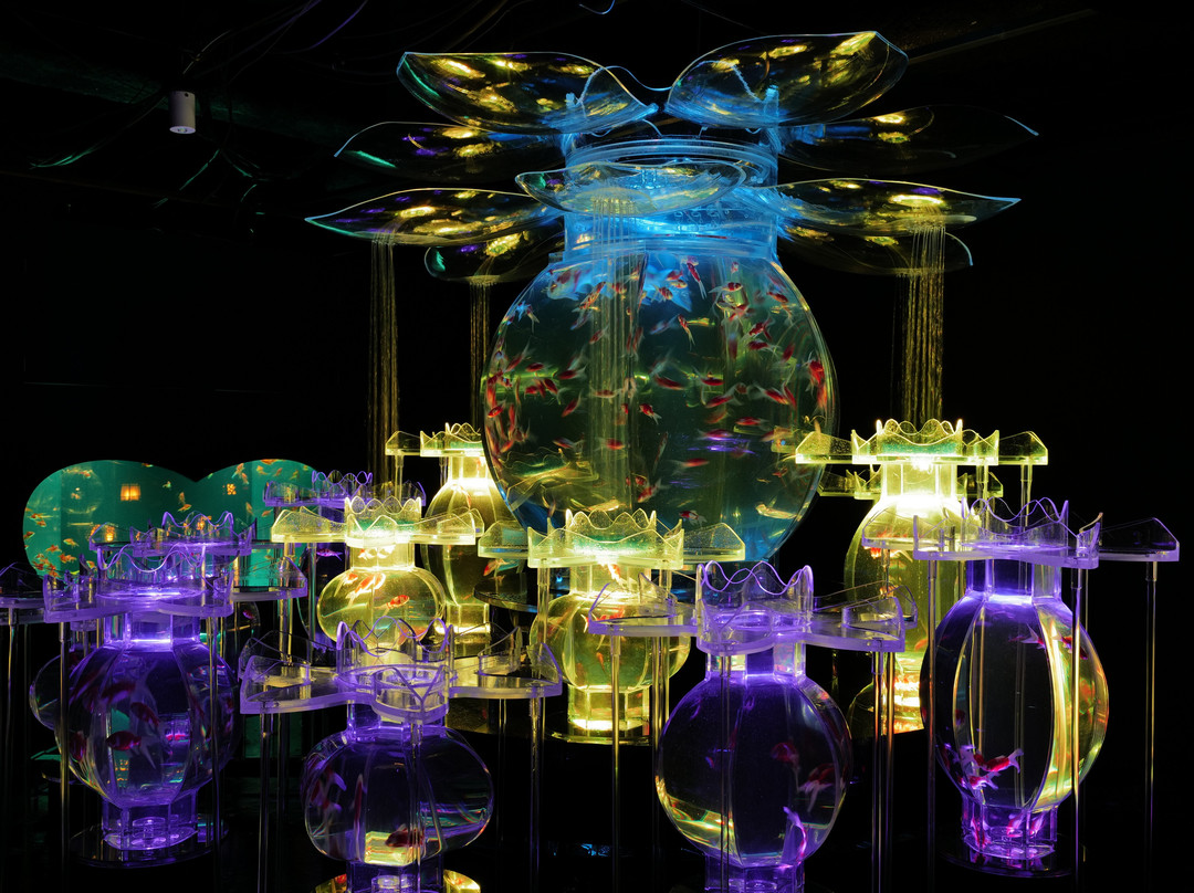Art Aquarium