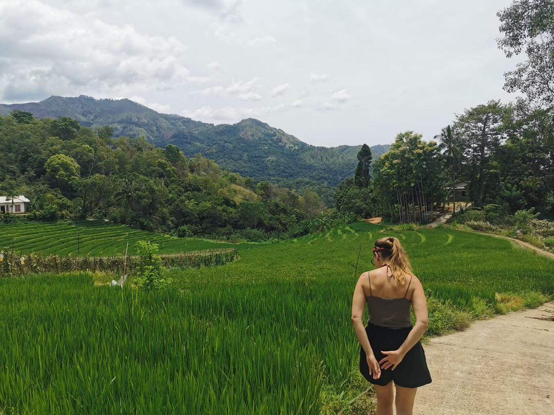 Ceylon Walkers景点图片