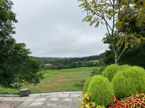 仁花园-由仁町必去景点