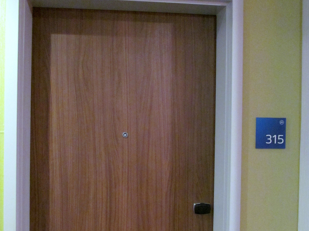 Holiday Inn Express & Suites Brandon by IHG主图