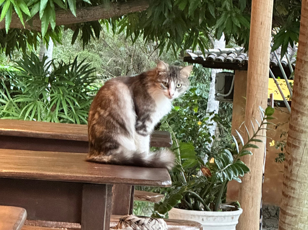 Pousada na Bahia Too Cool主图