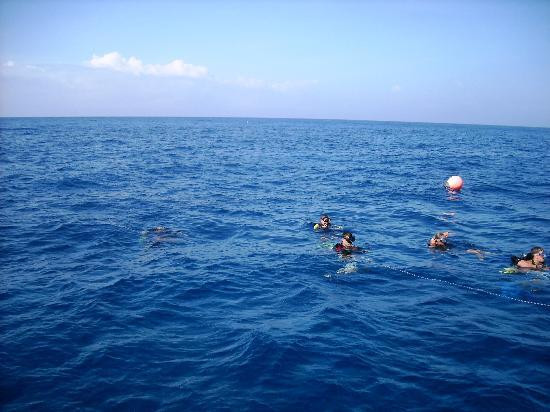 Taino Divers-吕康必去景点