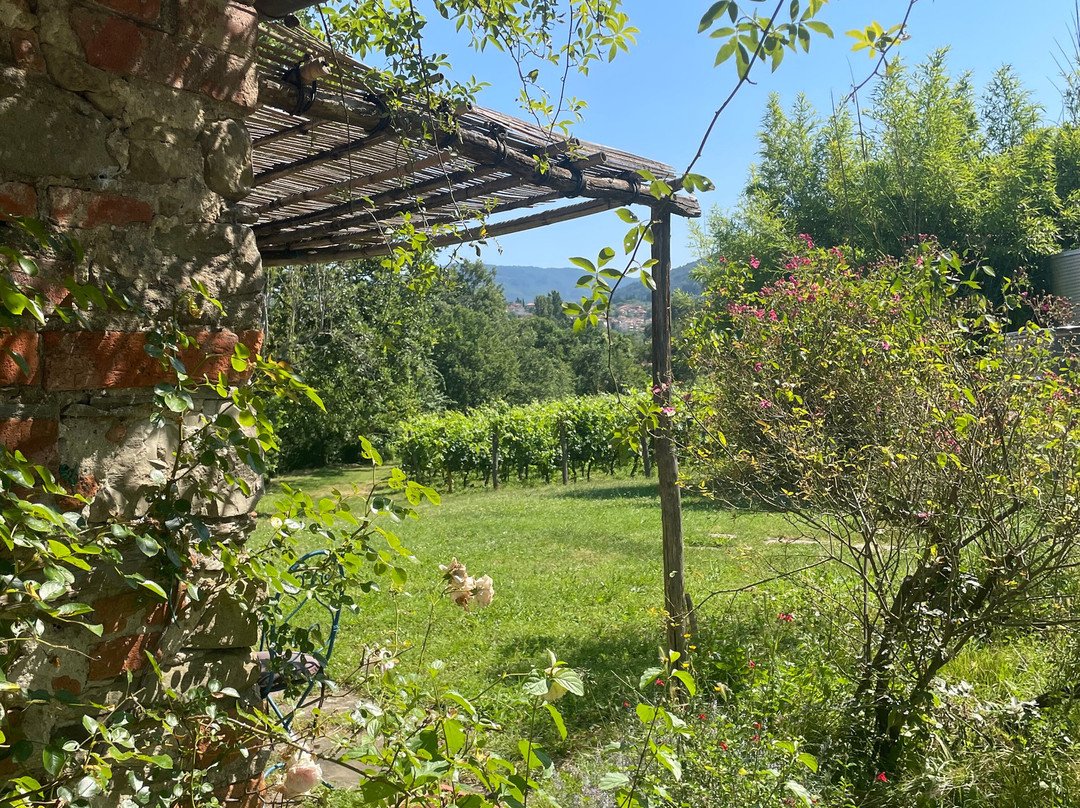 Cantina le Pietre-雷杰洛必去景点