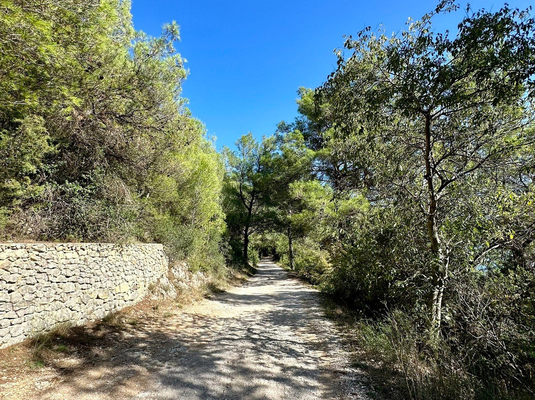 Pansion Skelin主图