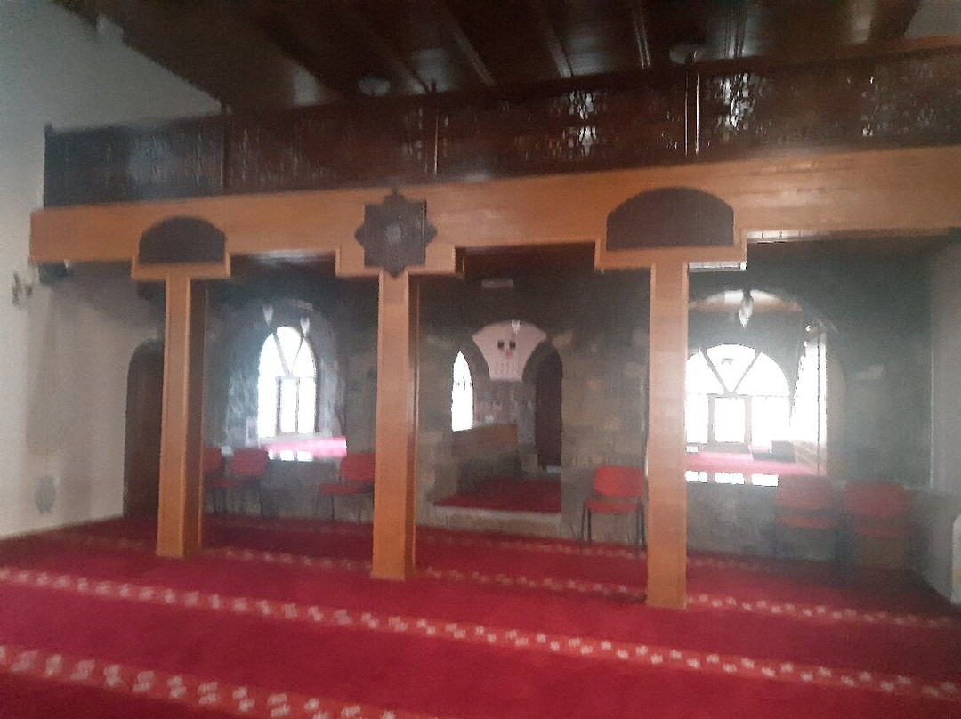 Osmanagic Mosque-波德戈里察必去景点