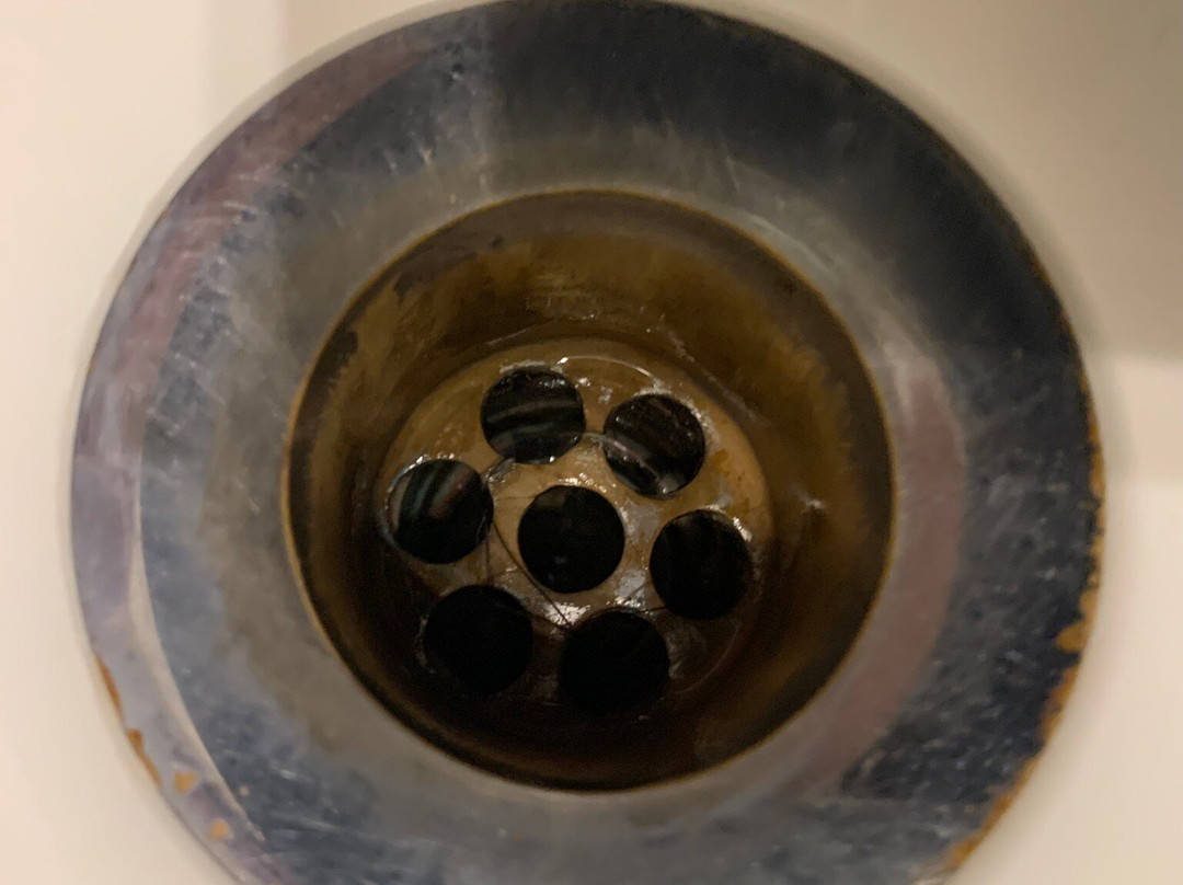 伍尔夫酒店主图