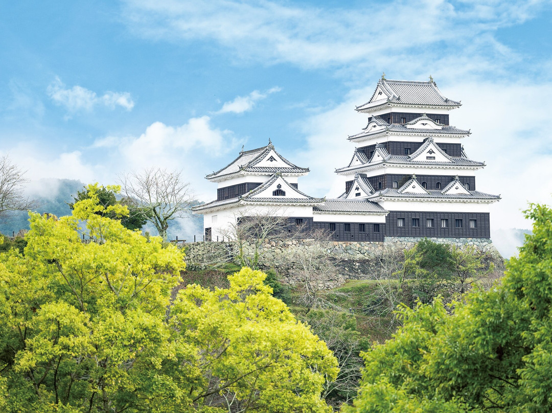 Ozu Castle-大洲市必去景点