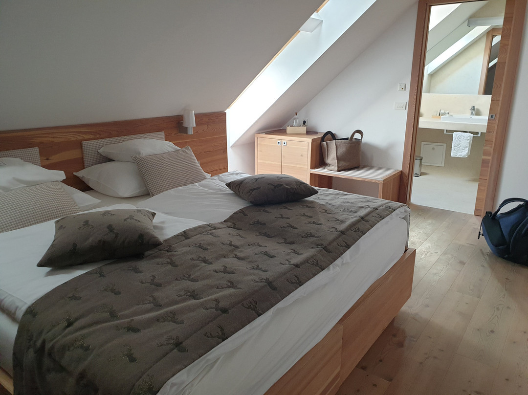 Boutique Skipass Hotel主图