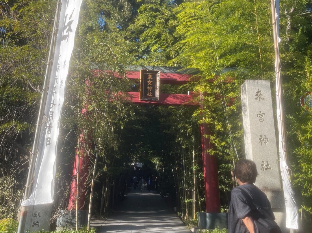 Sugihokowake no Mikoto Shrine (Kawazu Kinomiya Shrine)景点图片