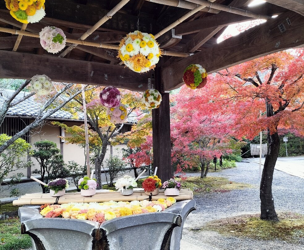 Komyoji Temple-长冈京市必去景点