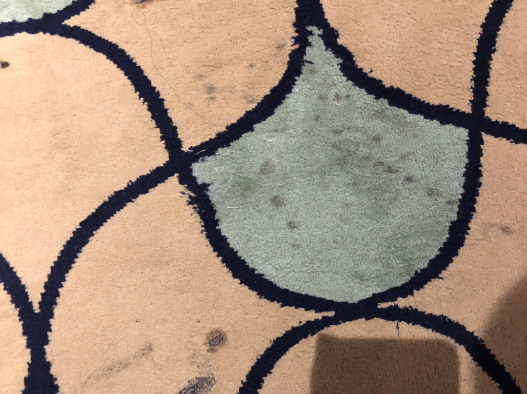 凯西帝都酒店主图