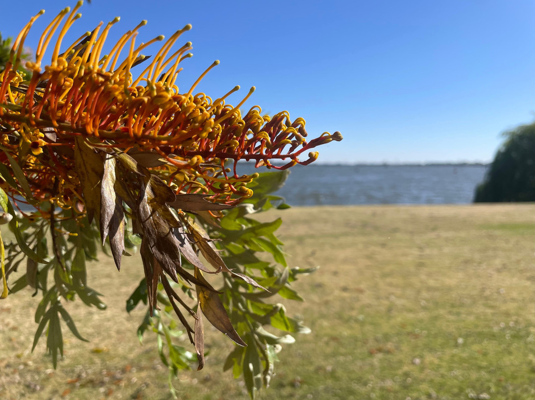 Woodlands Park-Yarrawonga必去景点