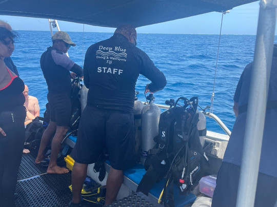 Purple Turtle Dive Fiji (Formerly Deep Blue Fiji)-丹娜努岛必去景点