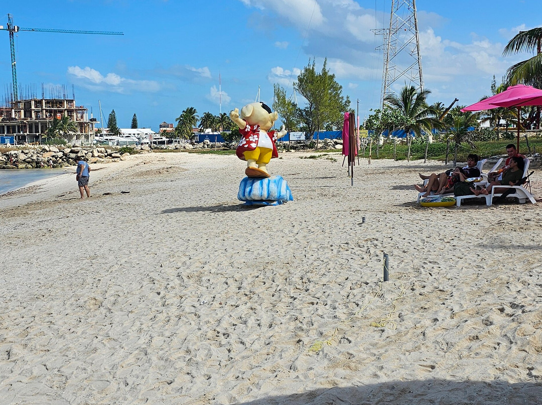 Pig Beach Progreso-Progreso必去景点