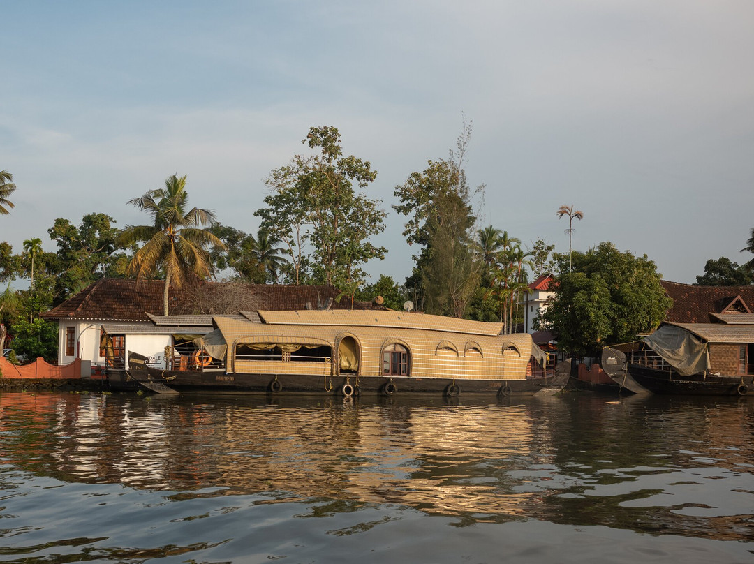 Blue Jelly Marina主图