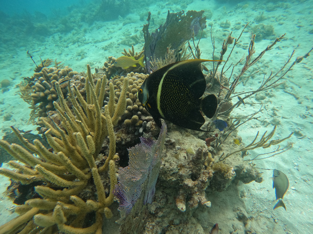 Beach Snorkel Culebra