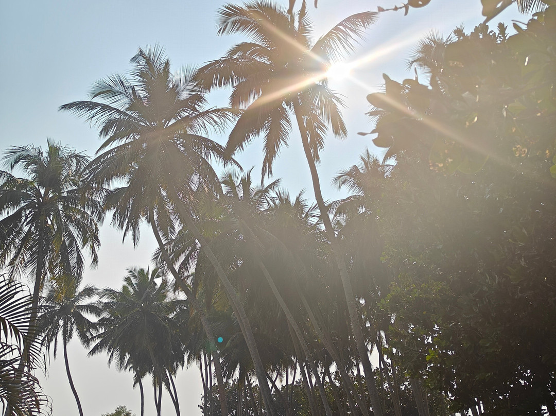 Samudra Resorts and Spa主图