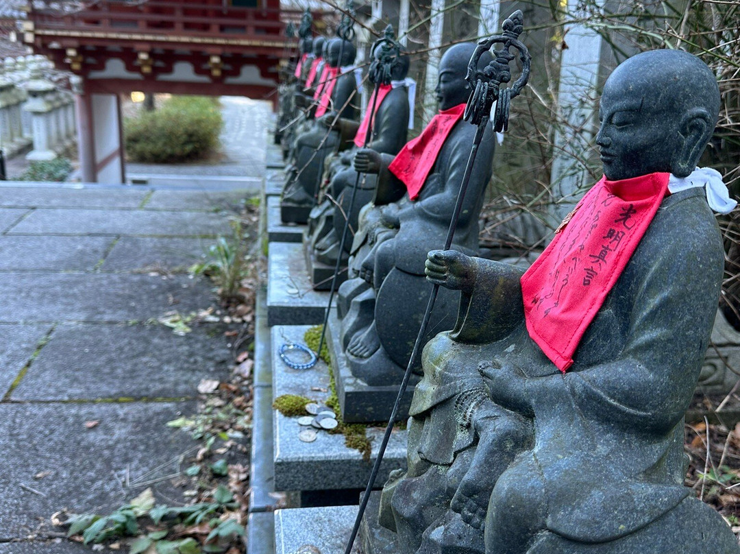 Tsubosaka-dera Temple景点图片