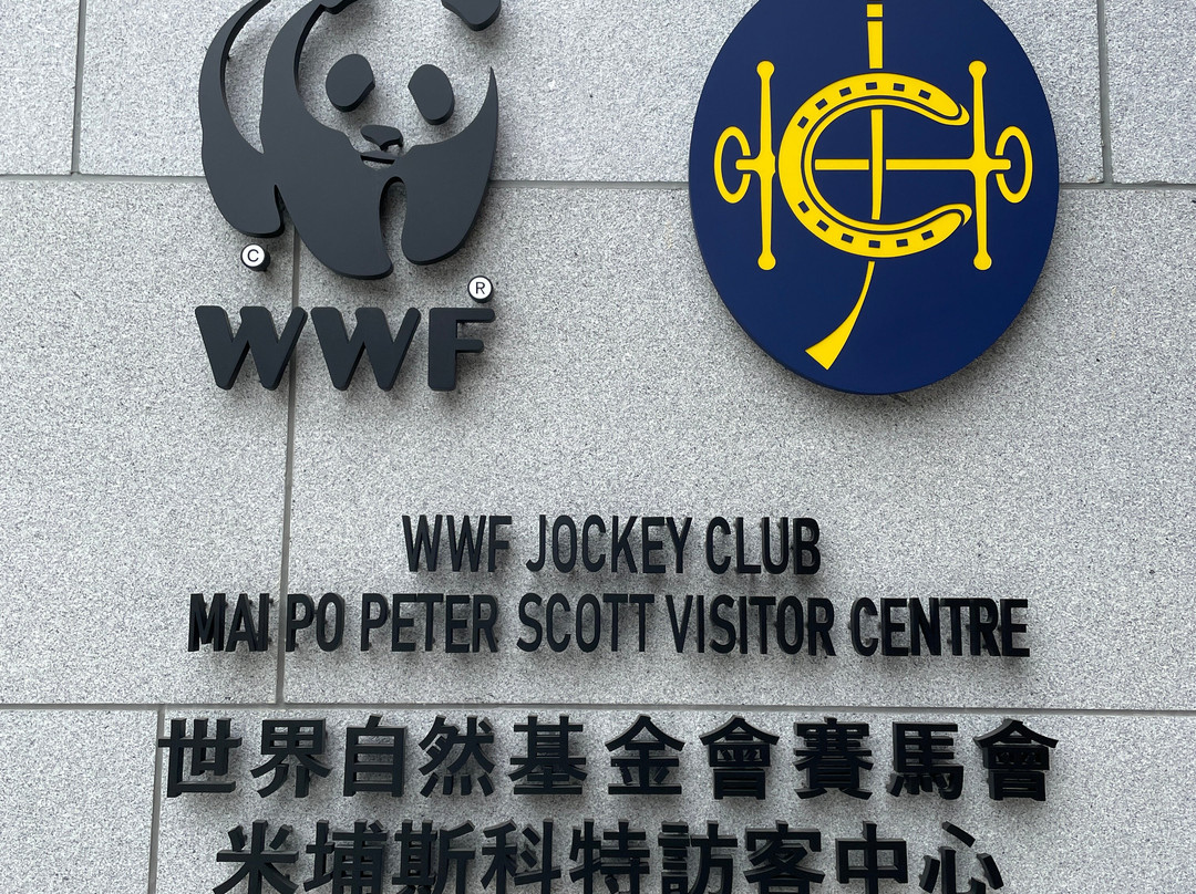 米埔自然保护区-香港必去景点