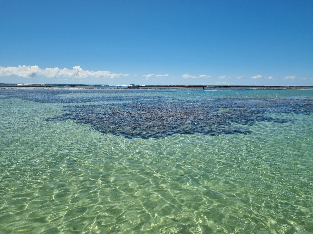 Amazônia Azul Turismo-São José da Coroa Grande必去景点