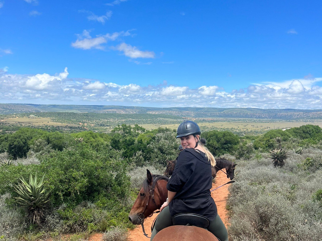 Amakhala Horse Trails-伊丽莎白港必去景点