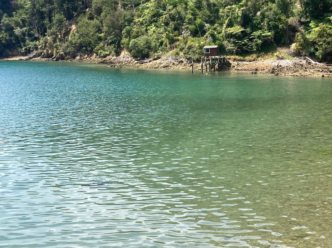Pelorus Sound Water Taxi & Cruises-哈夫洛克必去景点