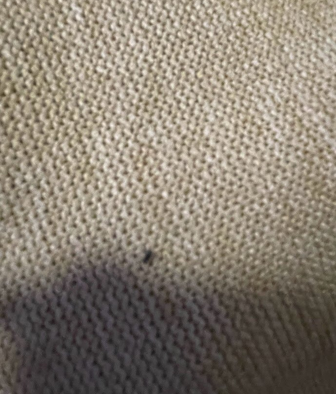 Sanibel Island Beach Resort主图