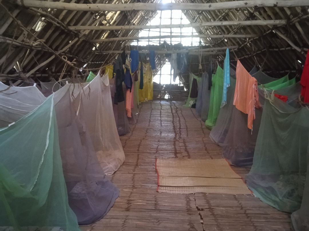 Sadhana Forest-Auroville必去景点