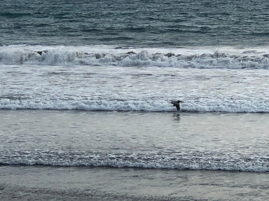 Coloso Del Mar主图