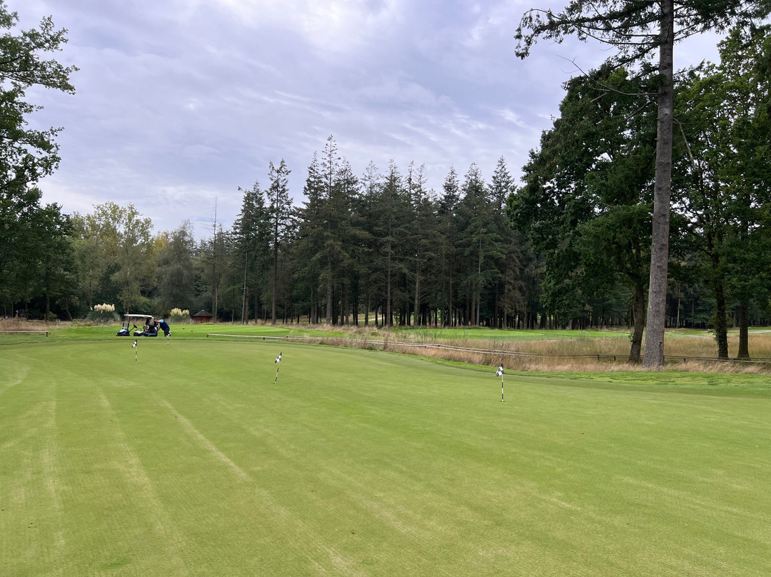 Remedy Oak Golf Course景点图片