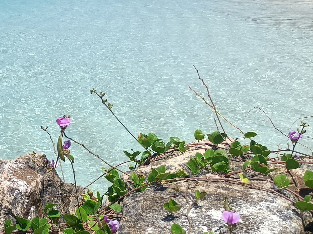 Day Tours Maafushi-马富士岛必去景点