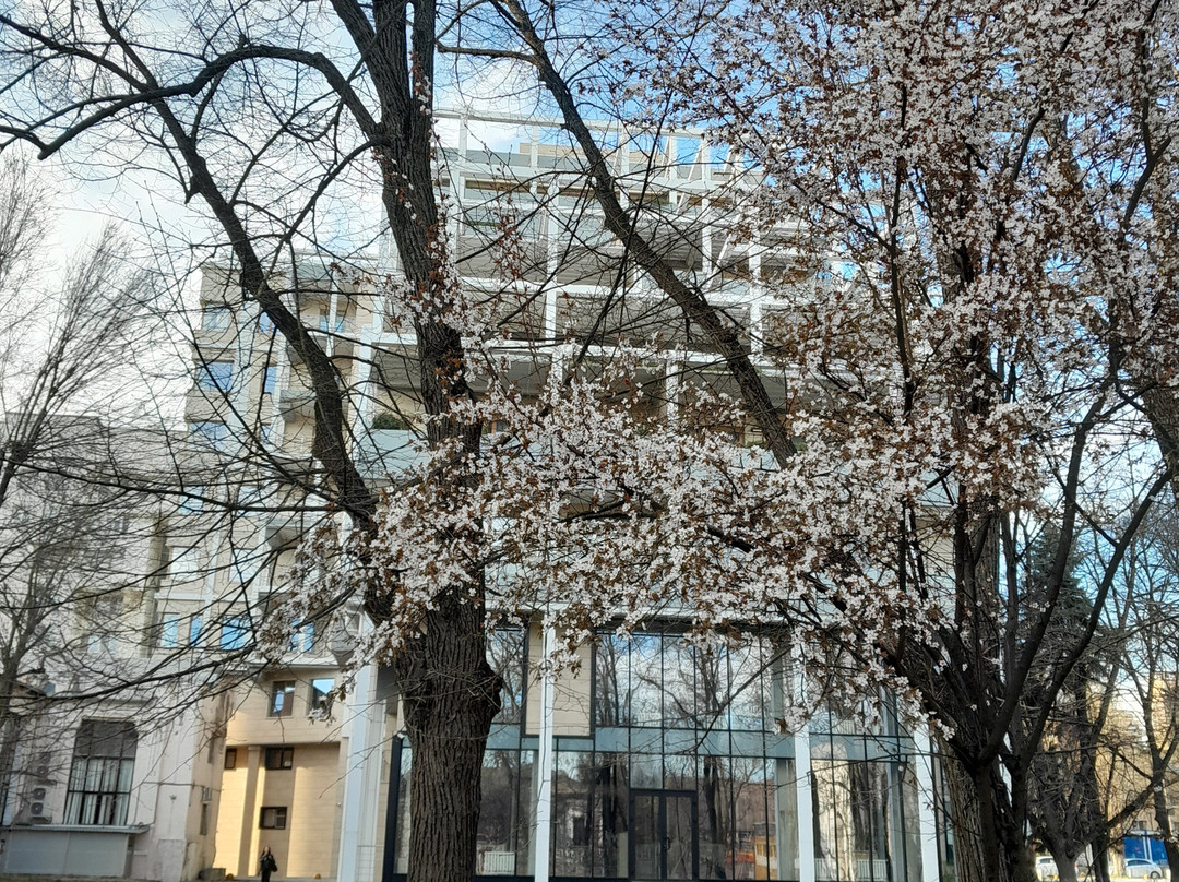 1st of May Park景点图片