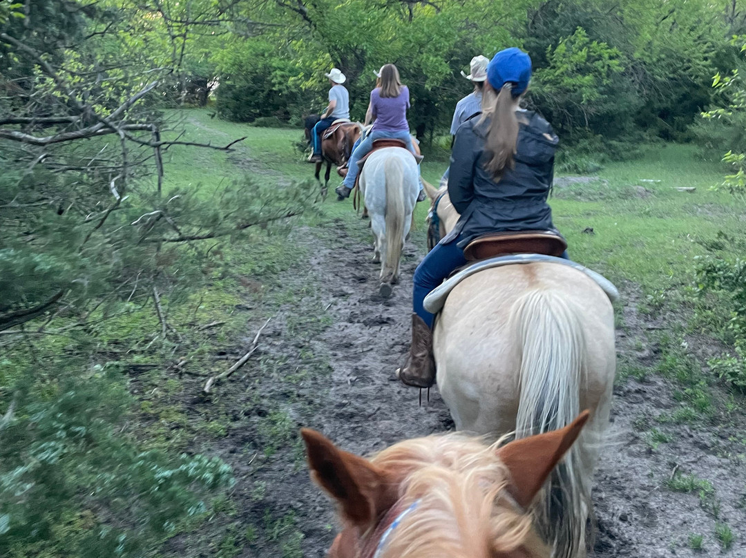 Diamond Springs Ranch-Sedgwick必去景点