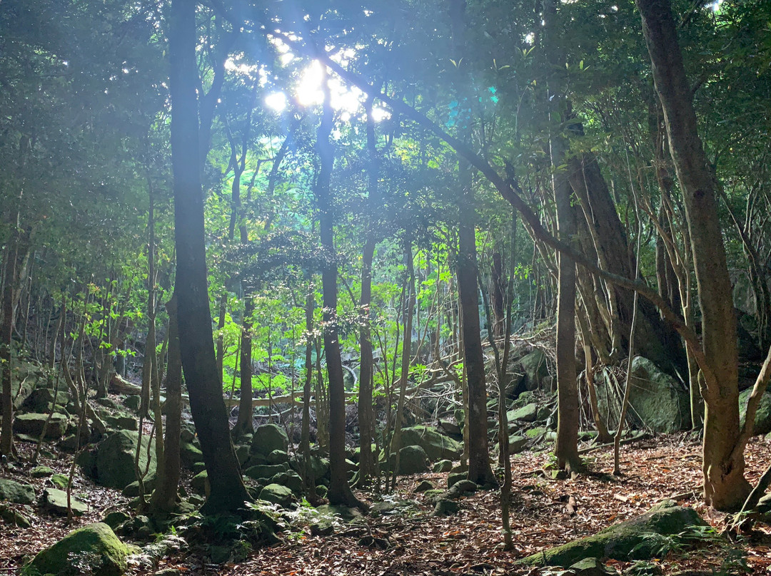 Seibu Trail景点图片