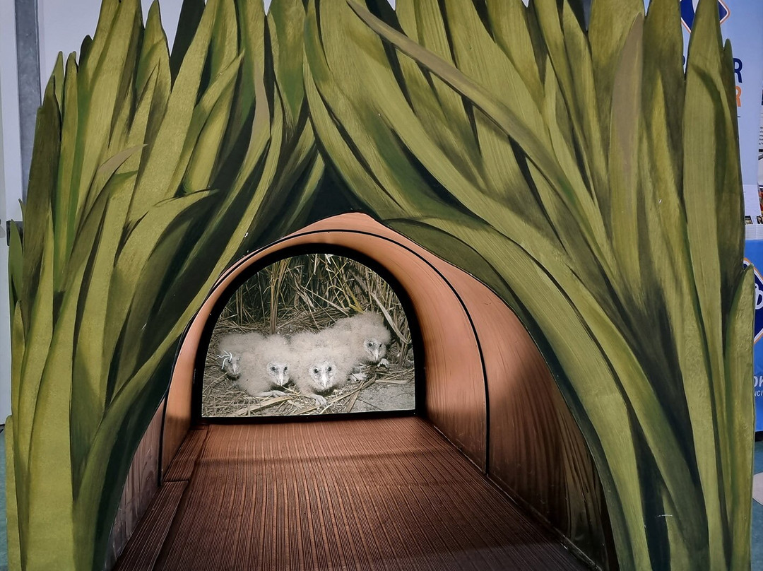 Hinchinbrook Visitor Information Centre