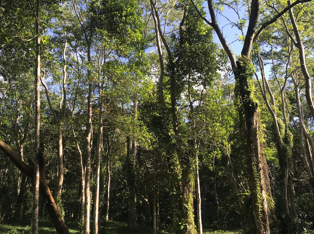 Tetebatu Indah Homestay主图