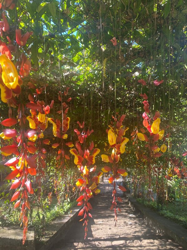 Chill Ville Hotel-浴室