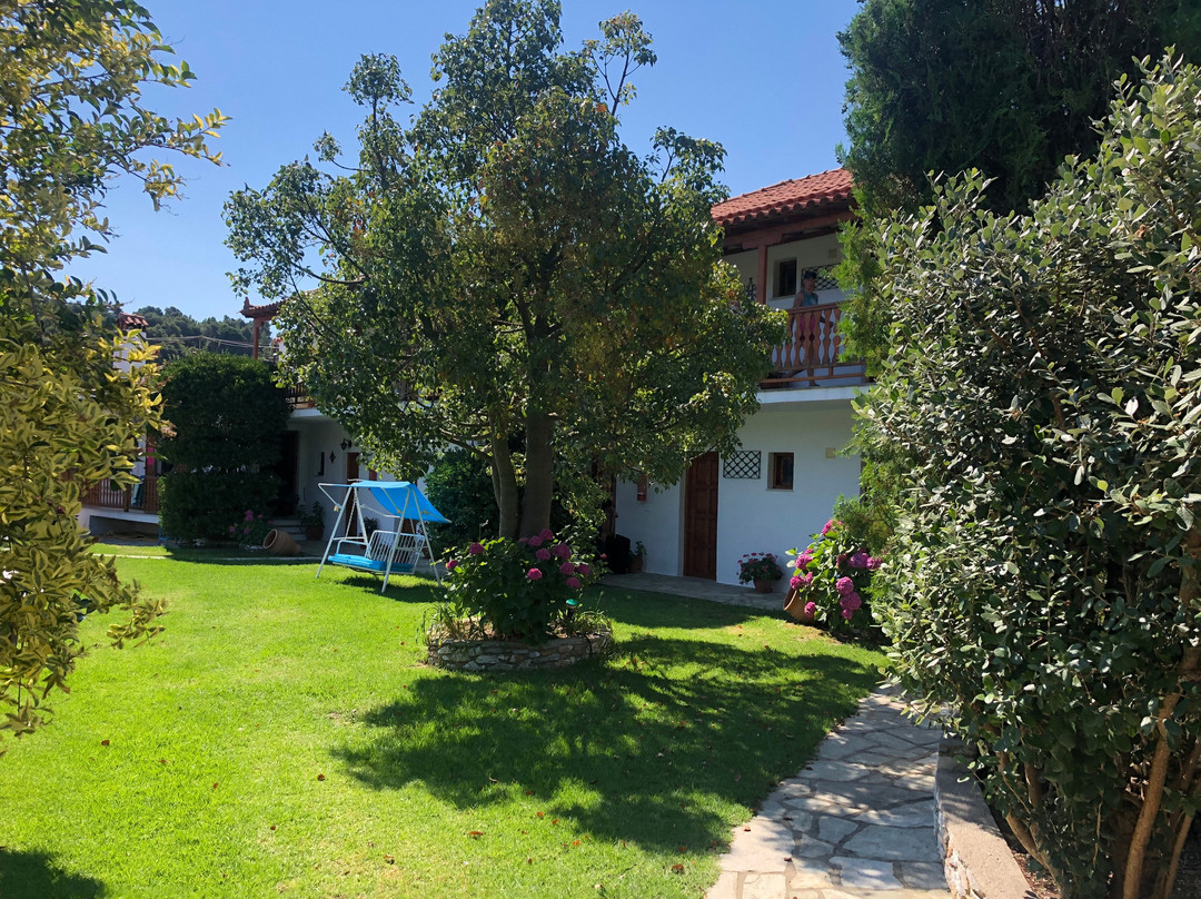 Veronica Studios主图