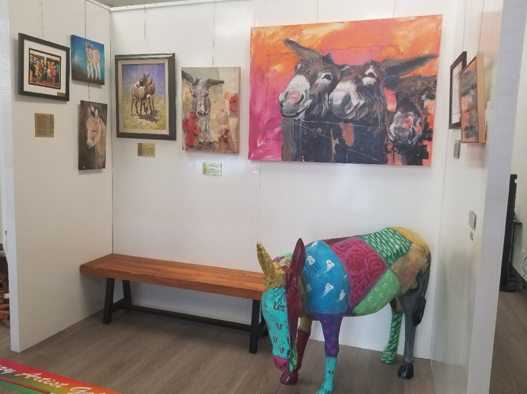 Donkey History Museum景点图片