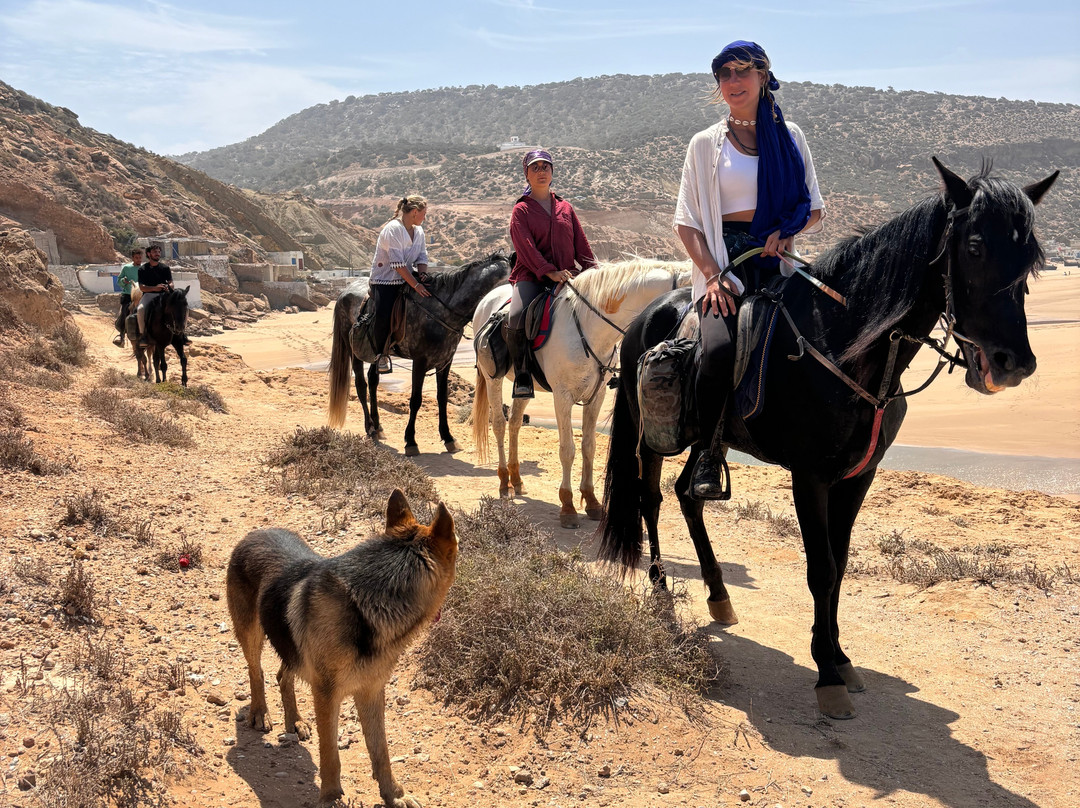 Morocco Ocean Horses-Sidi Kaouki必去景点
