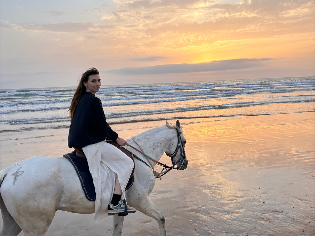 Morocco Ocean Horses-Sidi Kaouki必去景点