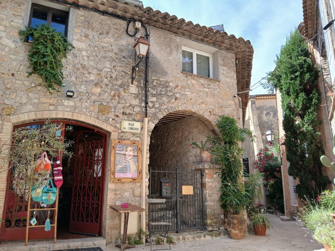 Village de Mougins景点图片