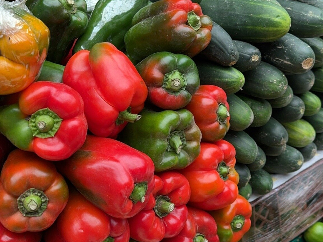 Plaza de Mercado Paloquemao-波哥大必去景点