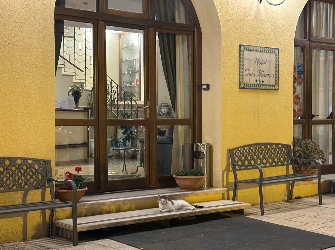 Hotel Cala Marina主图