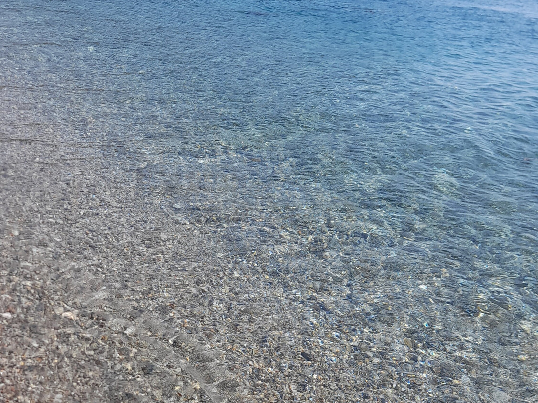 Playa de Calahonda景点图片