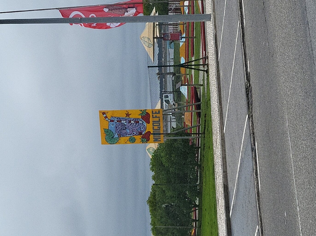Minigolfe da Costa Nova景点图片