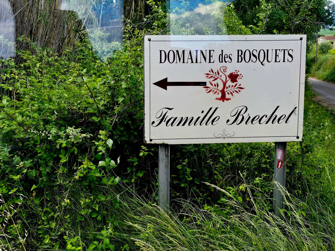 DOMAINE DU BOSQUET DES PAPES景点图片