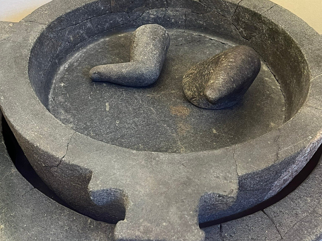 Domus del Chirurgo景点图片