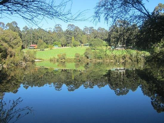 Walpole Wilderness Resort主图